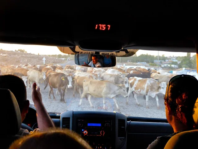 A journey through Cappadocia A guide speaking inside a tour vehicle overlooking Cappadocia's rocky landscape.